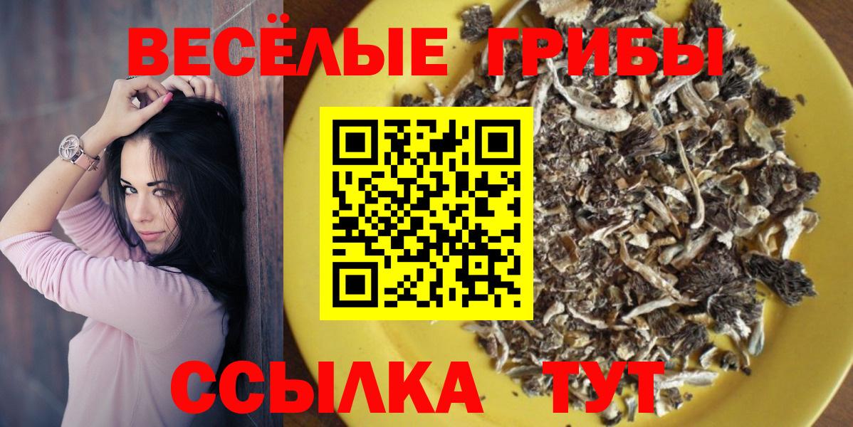 Псилоцибиновые грибы Psilocybine cubensis  Вход с VPN  Галлюциногенные грибы мухоморы  Глазов 